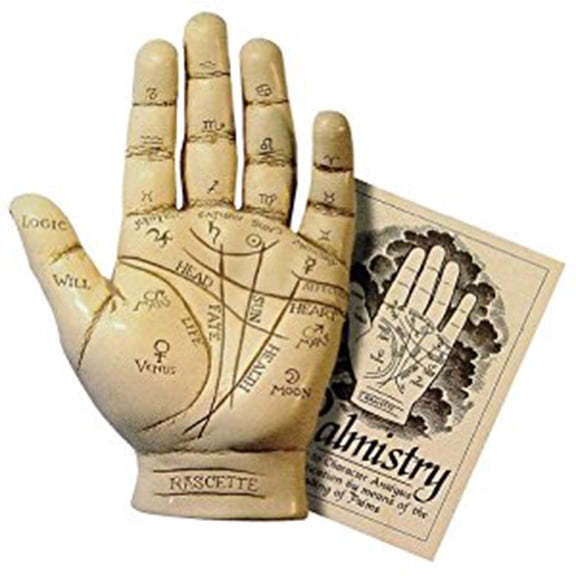 Palmistry Hand Kit with Booklet