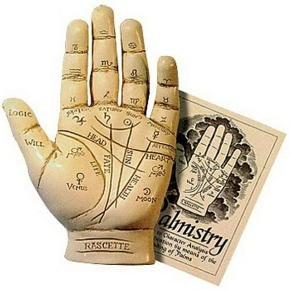 Palmistry Hand Model Resin Sculpture Fortune Telling Palm Reading with Booklet