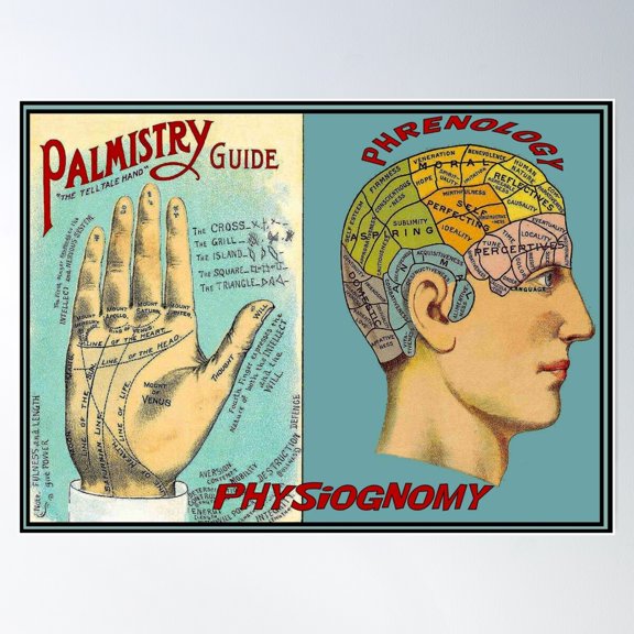 Palmistry Phrenology : Vintage Brain And Palm Reading Print Poster Wall Art, Modern Wall Decor For Living Room Bedroom, 8x12 UNFRAMED