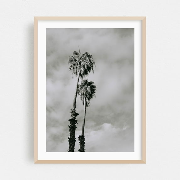 Palms Black and White - Visalia California Photography Palm Tree Black and White Minimalist Tropical Nature Vintage Coastal Oak Framed Wall Art Print 12 x 18 inches