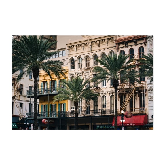 Palms on Canal - New Orleans Louisiana Photography Architecture City Palm Tree Vintage Street Photography Art Deco Tropical Unframed Wall Art Print 40 x 60 inches
