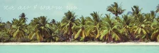 Palms Galore I Canvas Art - Acosta (12X36)