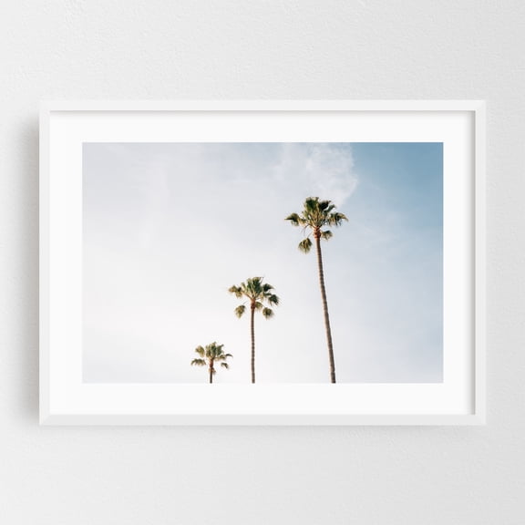 Palms, Laguna Beach - Laguna Beach California Photography Palm Tree Tropical Minimalist Summer Nature Beach Coastal White Framed Wall Art Print 5 x 7 inches