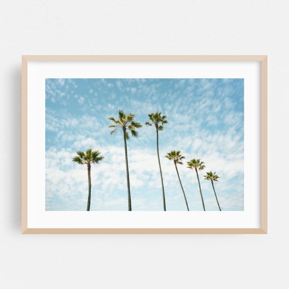 Palms in Manhattan Beach - Manhattan Beach California Photography Palm Tree Tropical Nature Minimalist Beach Coastal Summer Oak Framed Wall Art Print 5 x 7 inches