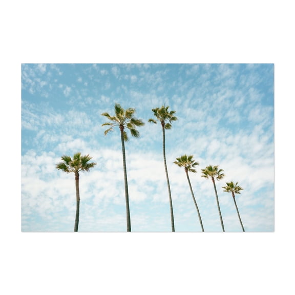 Palms in Manhattan Beach - Manhattan Beach California Photography Palm Tree Tropical Nature Minimalist Beach Coastal Summer Unframed Wall Art Print 32 x 48 inches