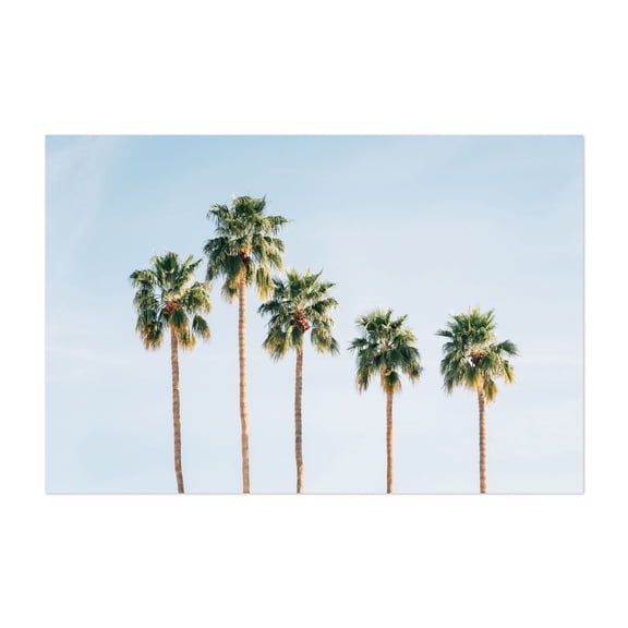 Palms, Palm Springs 01 - Palm Springs California Photography Palm Tree Minimalist Tropical Nature Summer Coastal Beach House Unframed Wall Art Print 32 x 48 inches