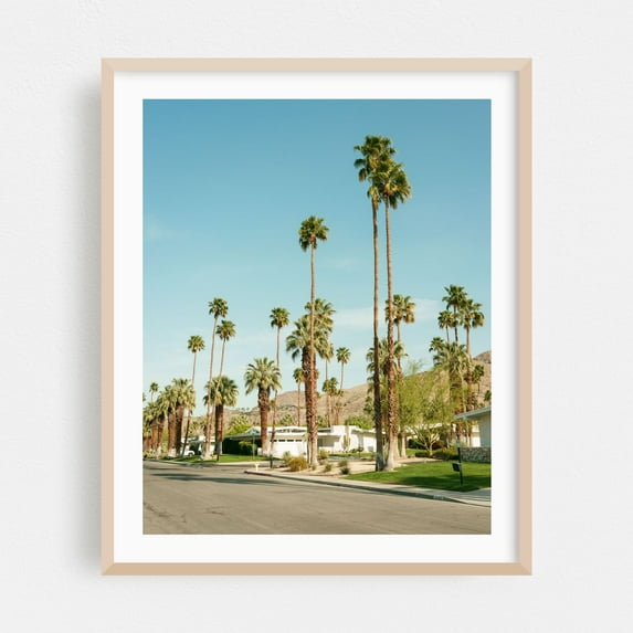 Palms in Palm Springs - Palm Springs California Photography Palm Tree Mid-Century Modern Desert Tropical Architecture Vintage Landscape Oak Framed Wall Art Print 12 x 16 inches
