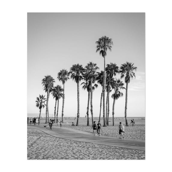 Palms, Santa Monica 02 B&W - Santa Monica California Photography Unframed Wall Art Print 8 x 10 inches