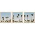 thumbnail image 1 of Palms Sunrise Triptych 18" x 18.00 in Framed Photography Art Prints, by Marmont Hill, 1 of 6