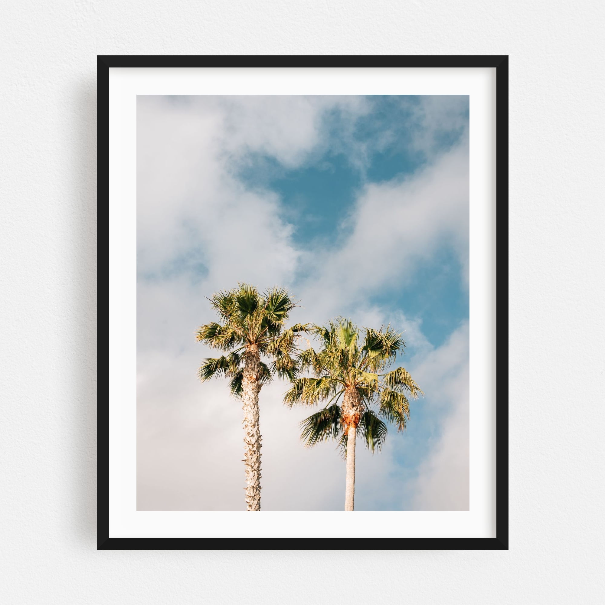 Palms at Treasure Island, Laguna Beach - Laguna Beach California ...