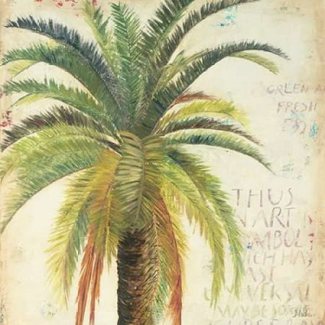 Palms and Scrolls Square II Canvas Art - Patricia Pinto (24 x 24)