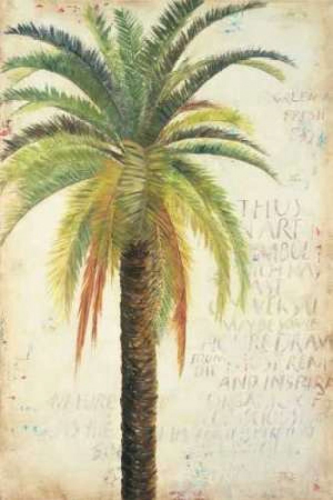 Palms andScrolls II Canvas Art - Patricia Pinto (24 x 36)