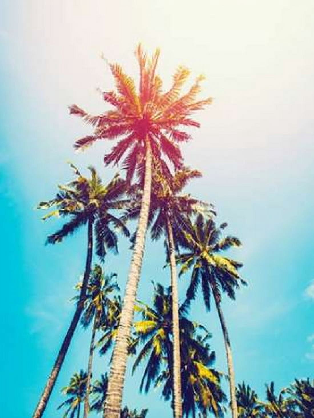 Palms in the Sun Canvas Art - Tai Prints (18 x 24)