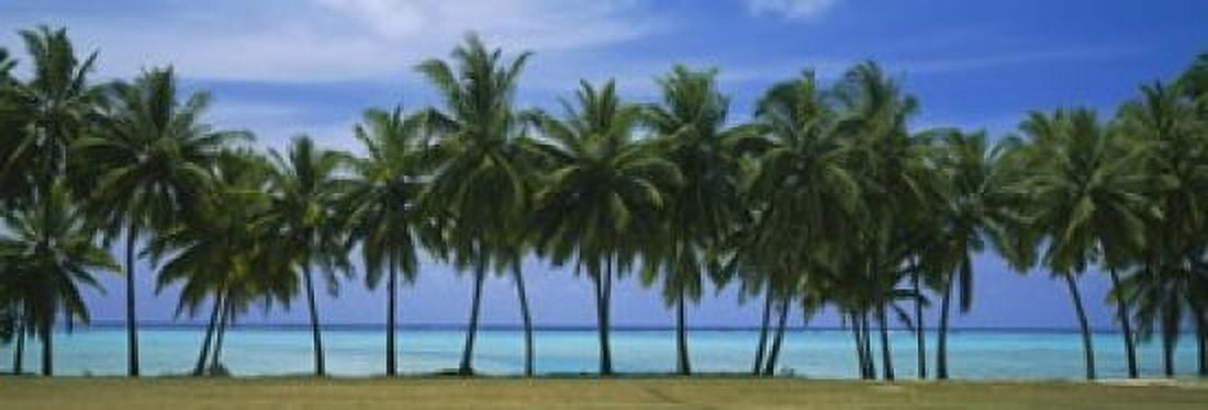 Palms & lagoon Aitutaki Cook Islands Canvas Art - Panoramic Images (18 x 7)