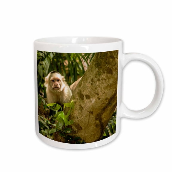 3drose, Palo Verde Np, Costa Rica. White-faced Capuchin Monkey., 15oz Mug