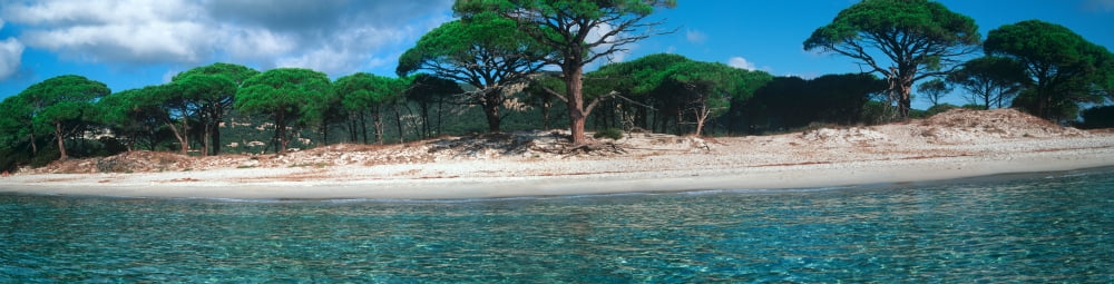 Palombaggia beach from the water Corsica France Canvas Art - Panoramic Images (27 x 9)