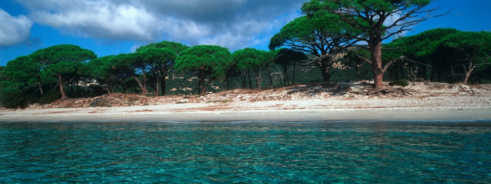 Palombaggia beach from the water Corsica France Canvas Art - Panoramic Images (36 x 12)