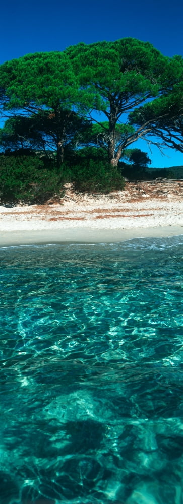 Palombaggia beach from the water Corsica France Canvas Art - Panoramic Images (36 x 12)