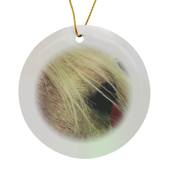 3drose, Palomino Looks into Camera, Circle Porcelain Ornament
