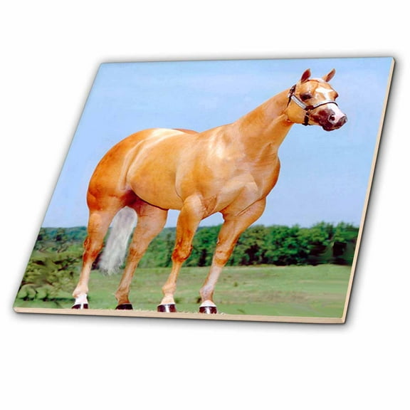 3dRose, Palomino Quarter Horse, 12 Inch Ceramic Tile