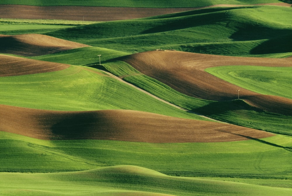 Palouse Fields Whitman County Washington Usa Canvas Art - Bilderbuch Design Pics (18 x 12)