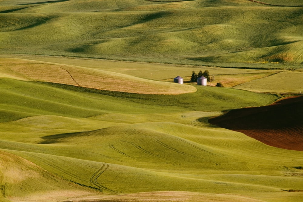 Palouse Fields Whitman County Washington Usa Canvas Art - Bilderbuch Design Pics (18 x 12)
