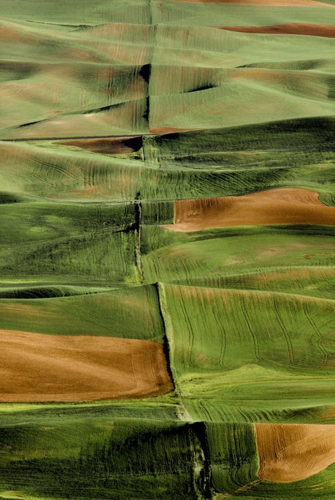 Palouse Fields Whitman County Washington Usa Canvas Art - Bilderbuch Design Pics (24 x 36)