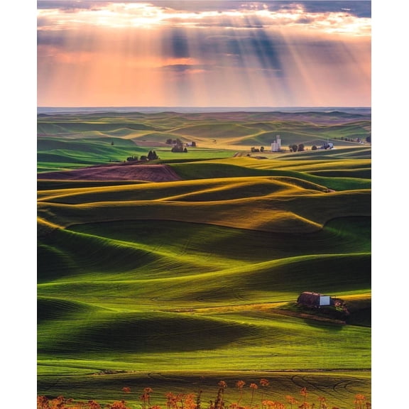 Palouse Wall Art Light and Shadows on The Rolling Hills of The Palouse Idahos Landscape Scenic Painting Gallery Wrapped Canvas Art Palouse Picture Ready to Hang
