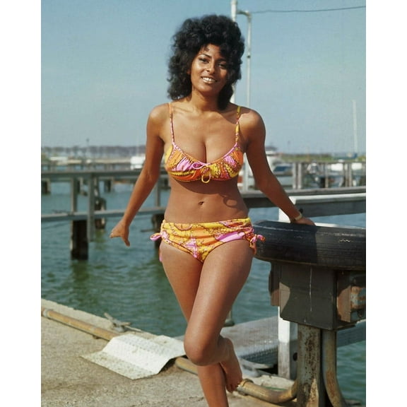 Pam Grier Glamorous Rare Glamour Pose Barefoot Summer Look 1970's 24X36 Classic Hollywood Poster