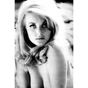 Pamela Tiffin bare shouldered pose showing huge cleavage 24x36 poster