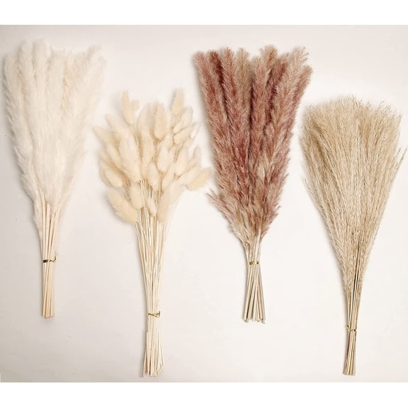 Pampas Grass Boho Decor,Natural Dried Flowers Carefully Hand-Picked Fluffy Pompas Grass 17", White & Brown Pampas Grass, Reed, Perfect for Home Decor, Fall Decor and Wedding Decorations
