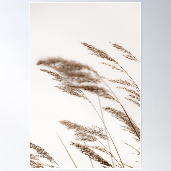 Pampas Grass I Poster Wall Art, Modern Wall Decor For Living Room Bedroom, 24x36 UNFRAMED