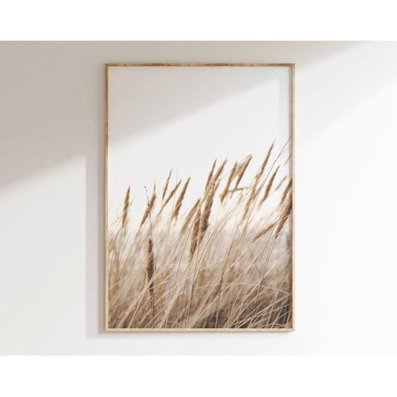 Pampas Grass Print, Neutral Dried Grass Photo, Reeds Print, Coastal Grass Poster, Wall Art, Modern Wall Decor, 24x36 UNFRAMED
