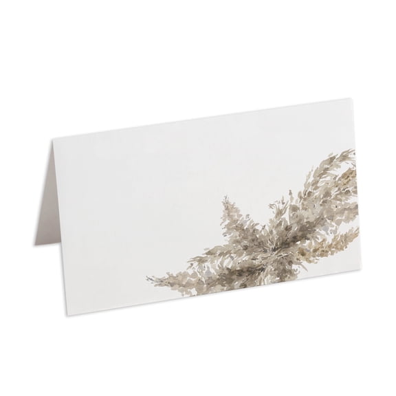 Truly Inspired Paper Co. Pampas Place Cards, Pack of 100, 2.5 x 3 inches, Wedding, Escort, Scored