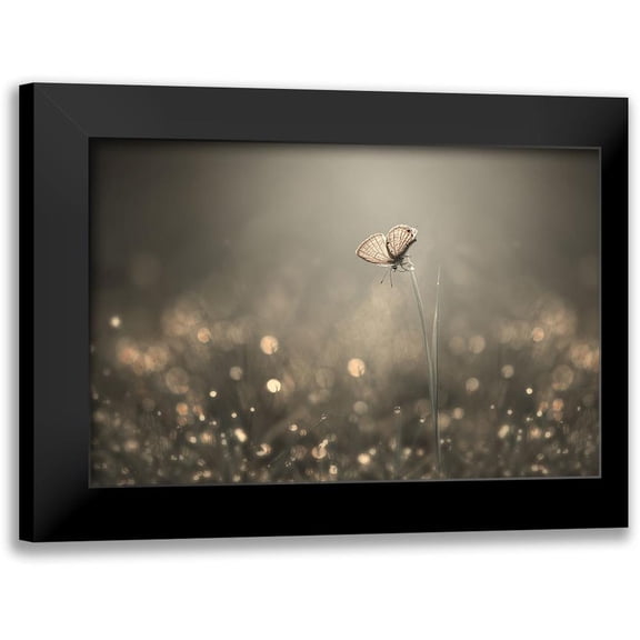Pamungkas, Edy 14x11 Black Modern Framed Museum Art Print Titled - Dream Light