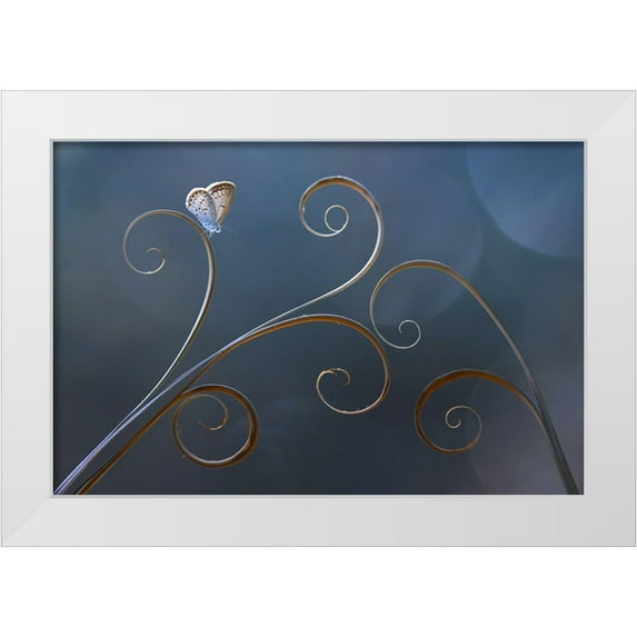 Pamungkas, Edy 18x13 White Modern Wood Framed Museum Art Print Titled - Curve