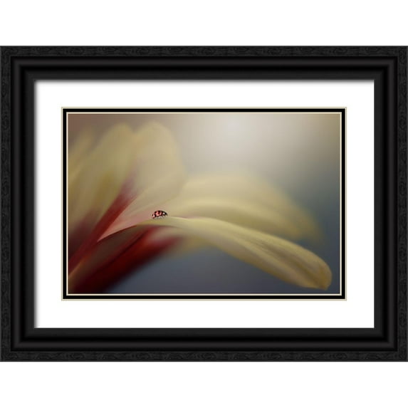 Pamungkas, Edy 32x23 Black Ornate Wood Framed with Double Matting Museum Art Print Titled - The Journey