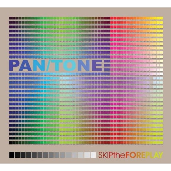 Pan/Tone - Skip the Foreplay - Electronica - CD