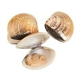 thumbnail image 1 of Pana Pesca 11-16 count Whole Shell Clam, 1 Pound -- 10 per Case., 1 of 4