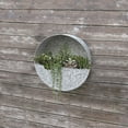 thumbnail image 1 of Panacea 14" Round Galvanized Metal Wall Planter, 1 of 2