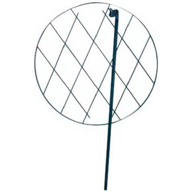 Green PVC Coated Steel Plant Support Ring, 20" x 30"