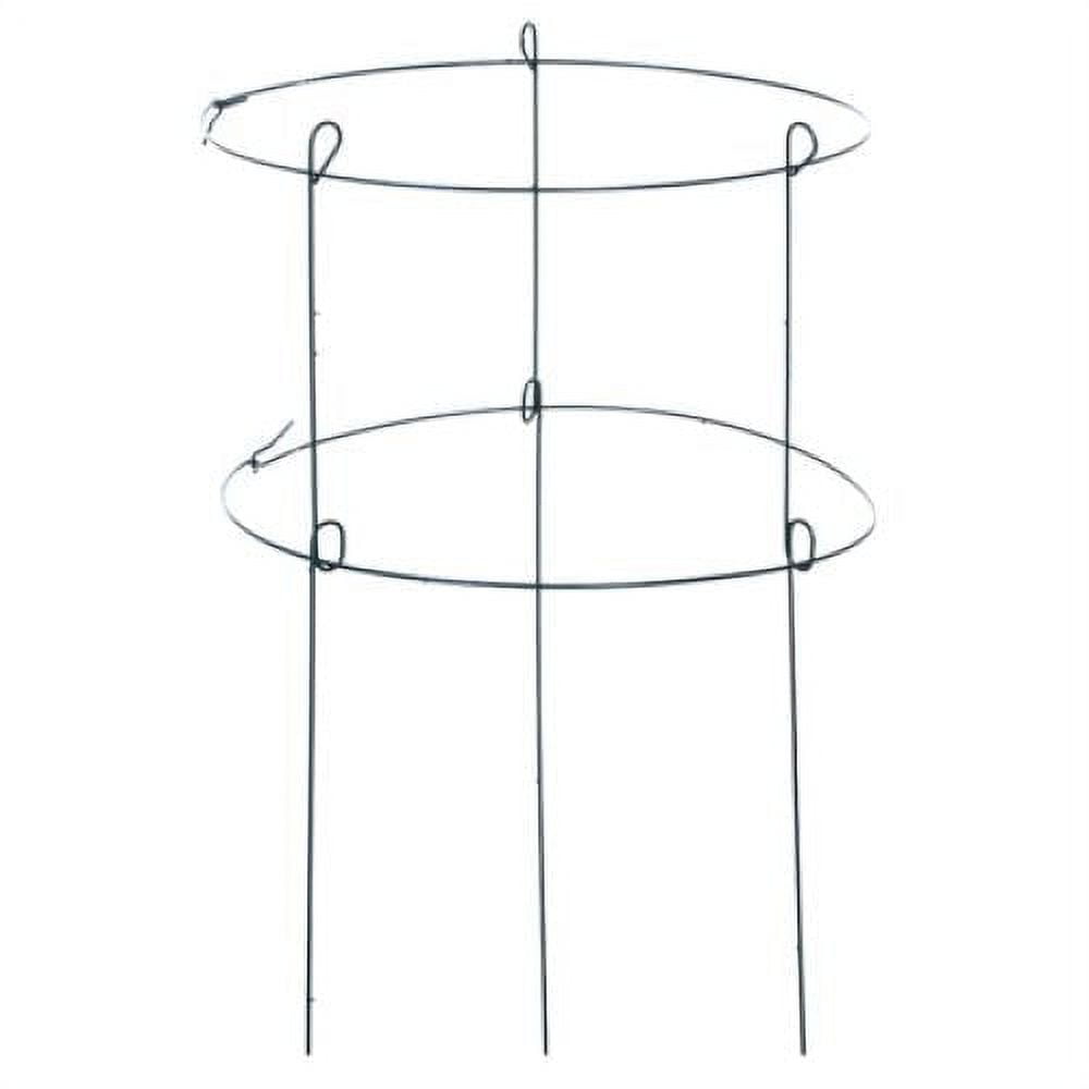 Panacea 89322GT 18" W x 36" L Double Green Metal Peony Ring Plant Support - Quantity of 3