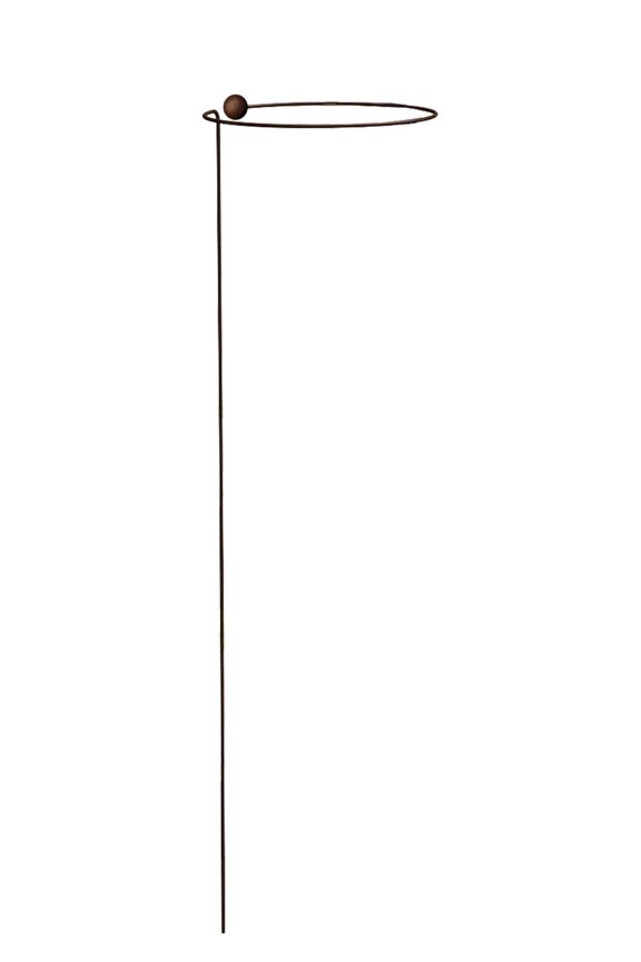 Wraparound Plant Supports, Steel, 20 Inch, 12 Count