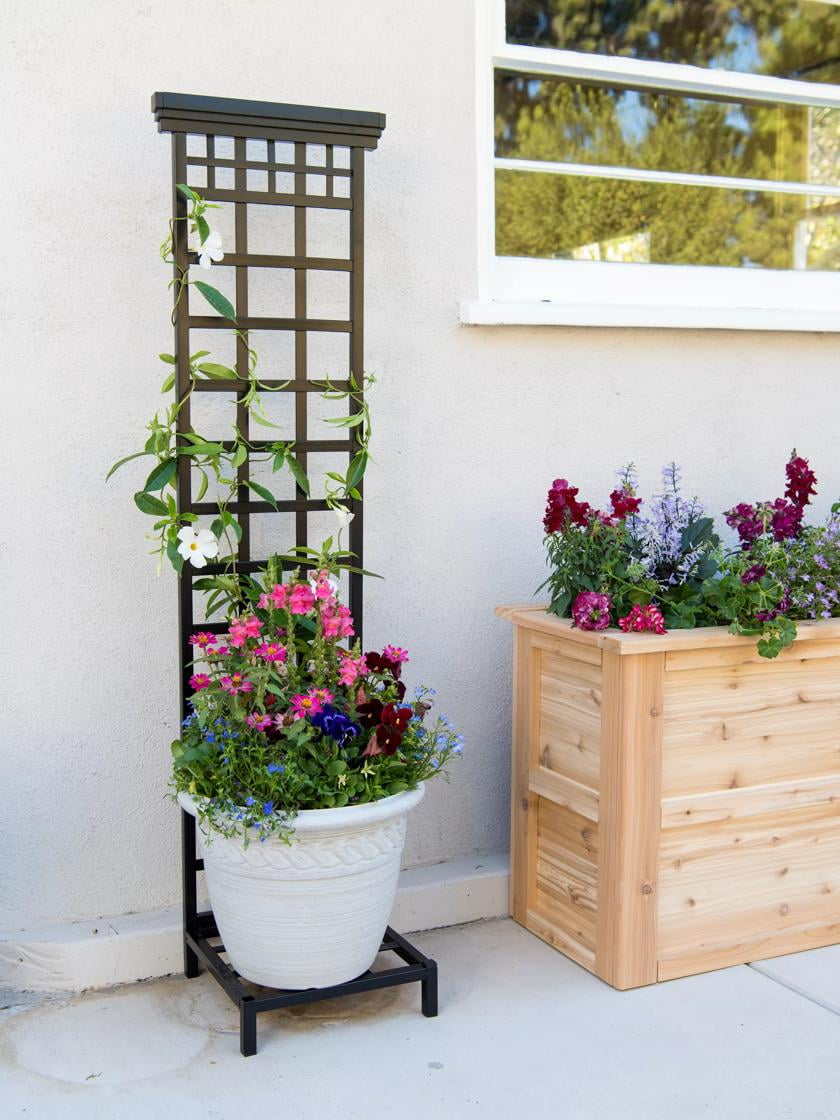 Black Metal Mission Style Pot Trellis with Base