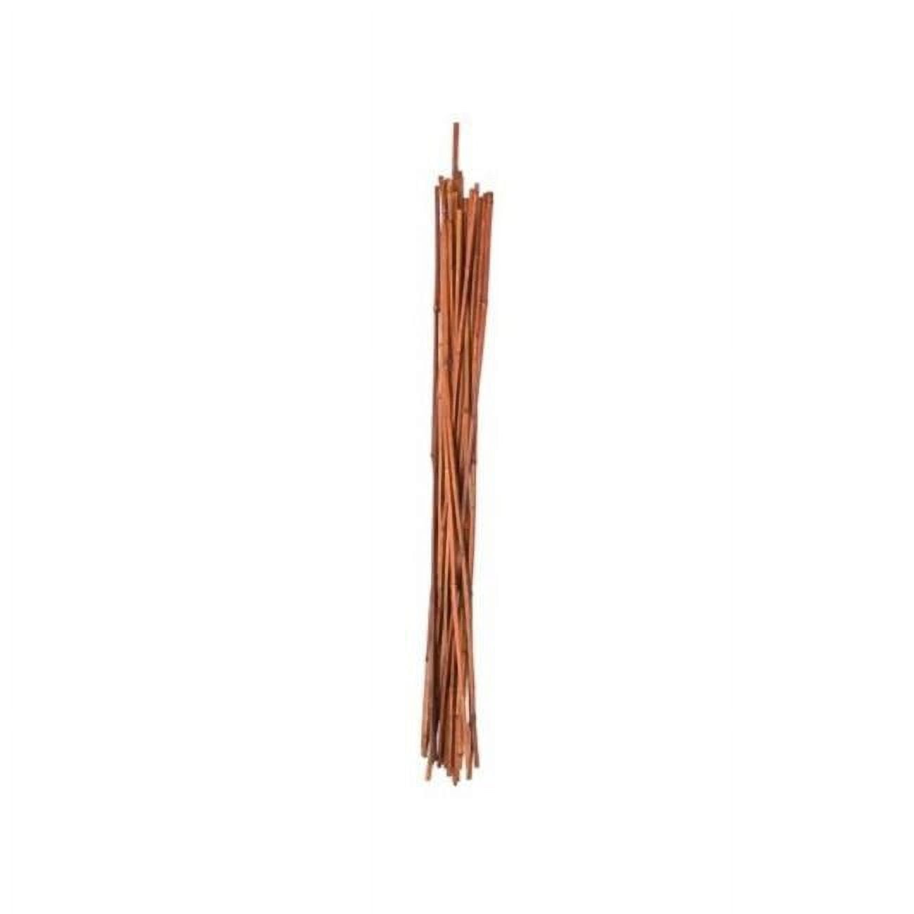 Natural Bamboo 2-Foot Garden Support Stakes, Pack of 25
