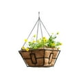 thumbnail image 1 of Panacea 87850GT 14" Square Black Steel Hanging Plant Basket - Quantity of 6, 1 of 2