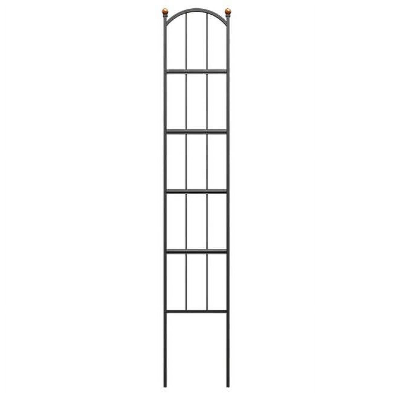 Black Steel 60" Traditional Garden Trellis with Copper Spheres