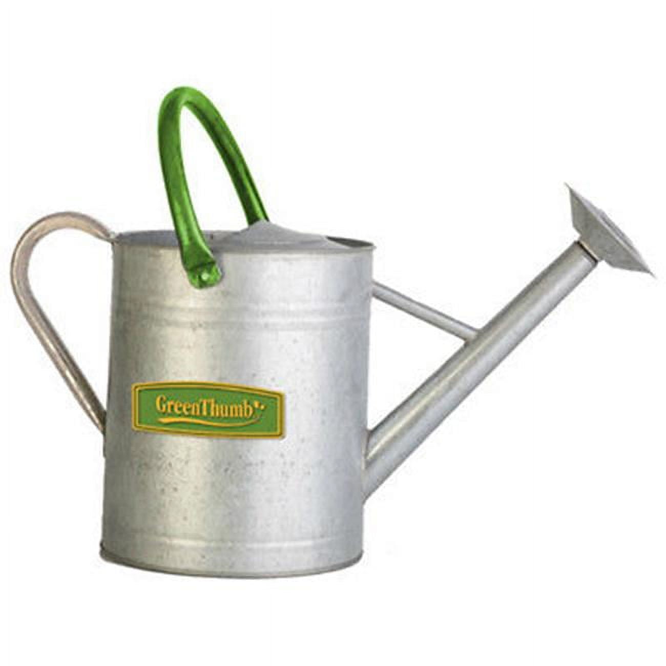Vintage Galvanized Steel Watering Can with Green Handle, 2-Gallon