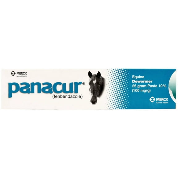 Panacur Dewormer Horse Paste 10%, 100mg | 12-Pack