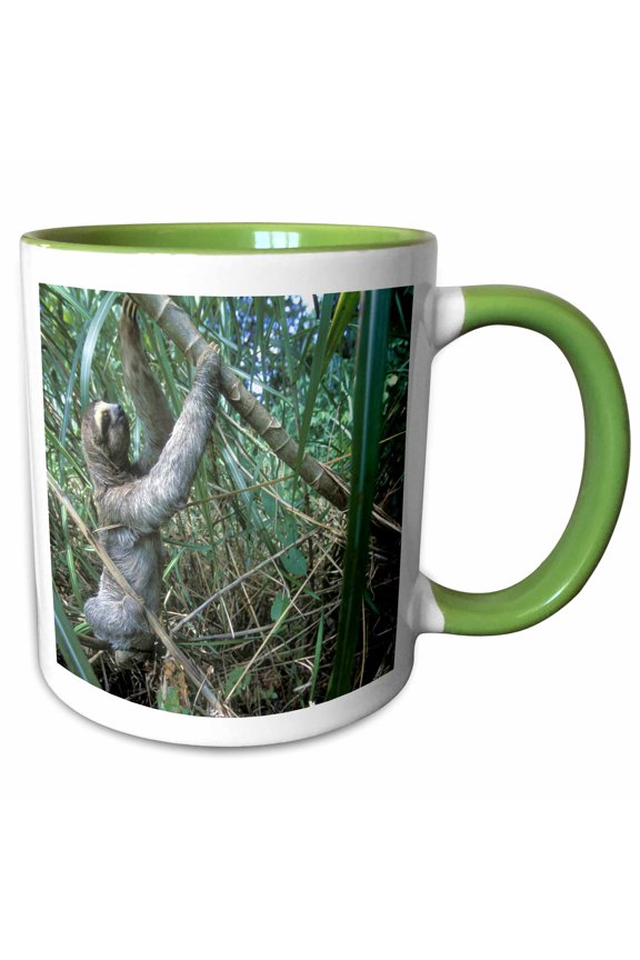 , Panama, Colon Province, Three-toed Sloth Wildlife - Sa15 Pso0002 - Paul Souders, 11oz Two-tone Green Mug